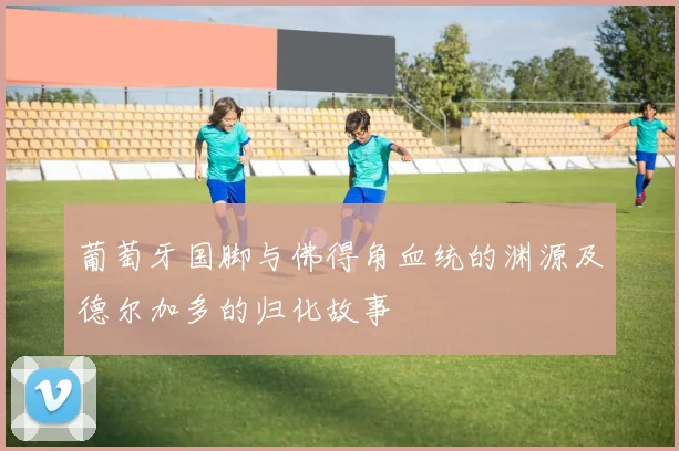 葡萄牙国脚与佛得角血统的渊源及德尔加多的归化故事